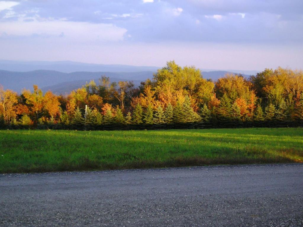Cooper Hill Inn East Dover Экстерьер фото