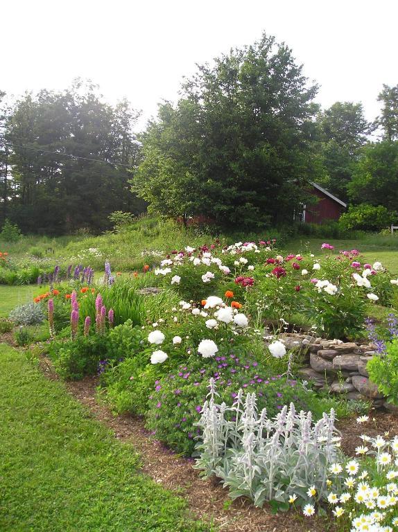 Cooper Hill Inn East Dover Экстерьер фото